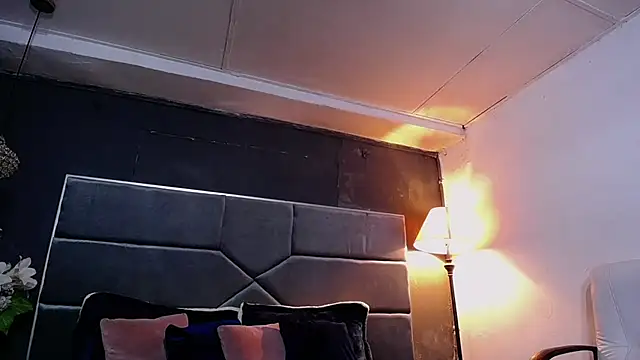 teddyfit19cm online show from 10.23.25