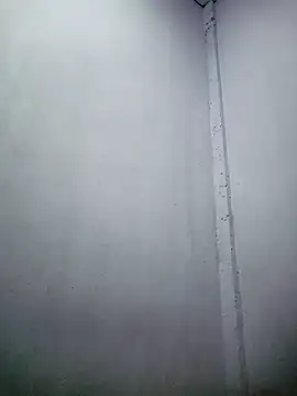 TropicalFlower online show from 12.16.25