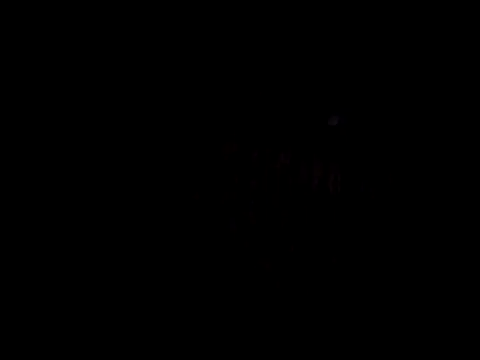 Snapshot of catdool chatting on 02.14.25 catdool online show from 02.14.25