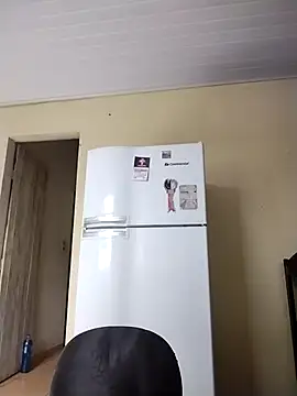 Snapshot of catdool chatting on 02.25.25 catdool online show from 02.25.25