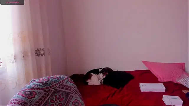 aluna 0310 online show from 12.09.24