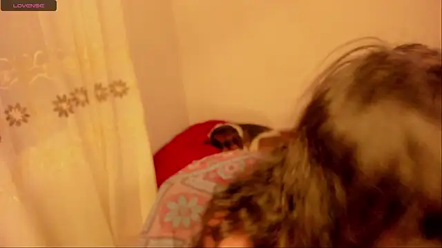 aluna 0310 online show from 01.16.25