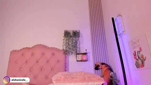 sweet nicole 11 online show from 12.01.25