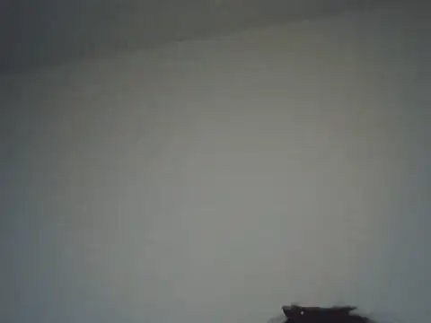 FallenDevil online show from 11.16.25