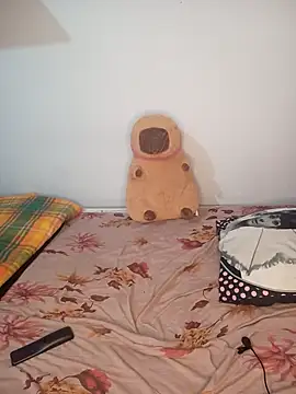 Snapshot of NinaSweet2 chatting on 02.14.26 NinaSweet2 online show from 02.14.26