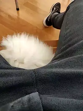 Snapshot of papiculo86 chatting on 02.02.25 papiculo86 online show from 02.02.25