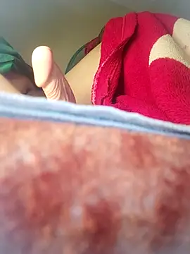 Snapshot of Sheela-Bhabi chatting on 01.05.26 Sheela-Bhabi online show from 01.05.26