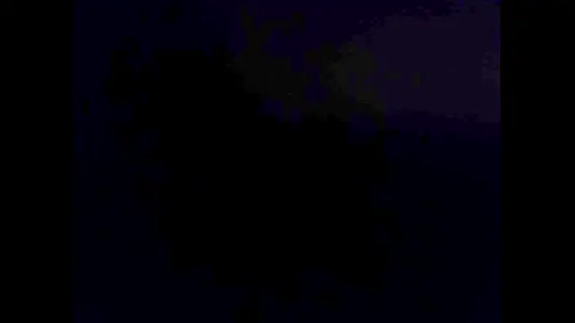 hairyuncut00 online show from 11.02.25