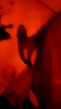 Misspadrona88 online show from 03.04.26