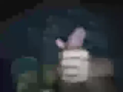 jheisonct online show from 04.02.26