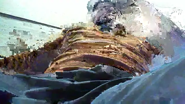 Snapshot of Billywax chatting on 01.08.26 Billywax online show from 01.08.26