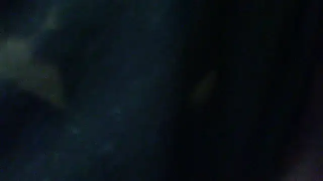 Snapshot of Billywax chatting on 02.02.26 Billywax online show from 02.02.26