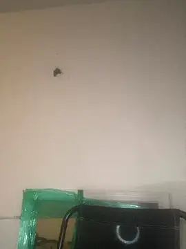 Foreignthababyy online show from 01.13.26