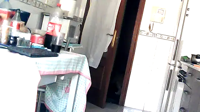 bixesualactivo online show from 03.23.26