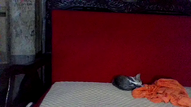 axomen online show from 02.16.25