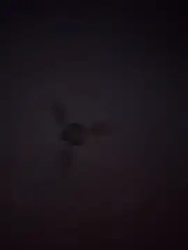 Snapshot of 1Aleks13 chatting on 11.25.25 1Aleks13 online show from 11.25.25