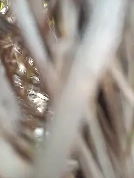 FinableKnee online show from 09.19.25