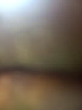 FinableKnee online show from 11.27.25