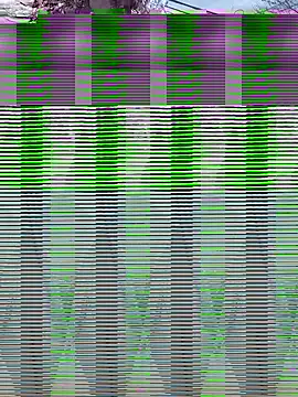 Alicbranca online show from 09.17.25