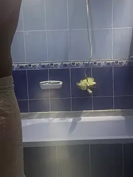 Arabien Pharaoh- online show from 03.20.25