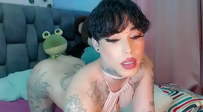 little star porn online show from 12.13.24