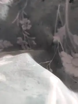 Snapshot of Elixire1 chatting on 01.06.26 Elixire1 online show from 01.06.26