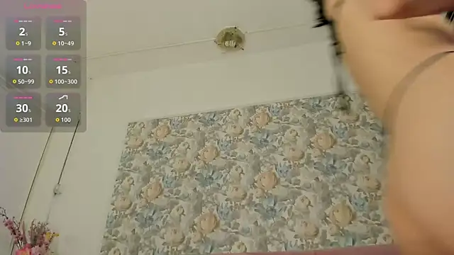 illegal lorry online show from 04.01.26