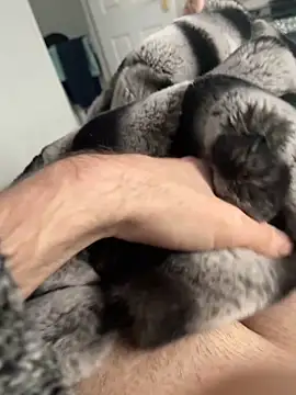 Snapshot of Furdale chatting on 12.02.24 Furdale online show from 12.02.24