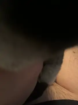 Snapshot of Furdale chatting on 12.16.24 Furdale online show from 12.16.24