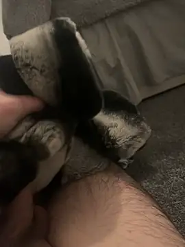 Snapshot of Furdale chatting on 01.07.25 Furdale online show from 01.07.25