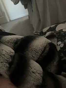 Snapshot of Furdale chatting on 01.09.25 Furdale online show from 01.09.25