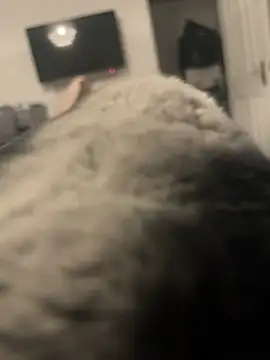 Snapshot of Furdale chatting on 01.13.25 Furdale online show from 01.13.25