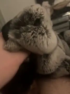 Snapshot of Furdale chatting on 01.24.25 Furdale online show from 01.24.25