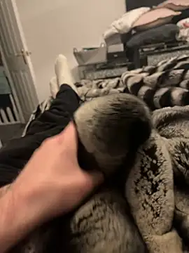 Snapshot of Furdale chatting on 02.11.25 Furdale online show from 02.11.25