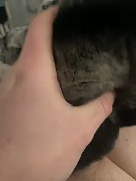 Snapshot of Furdale chatting on 02.24.25 Furdale online show from 02.24.25