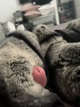 Snapshot of Furdale chatting on 02.26.25 Furdale online show from 02.26.25