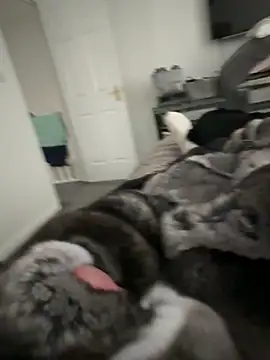 Snapshot of Furdale chatting on 09.22.25 Furdale online show from 09.22.25