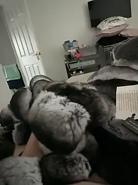 Furdale online show from 11.10.25