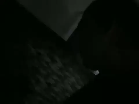 Snapshot of ALPHANDRE chatting on 03.09.26 ALPHANDRE online show from 03.09.26