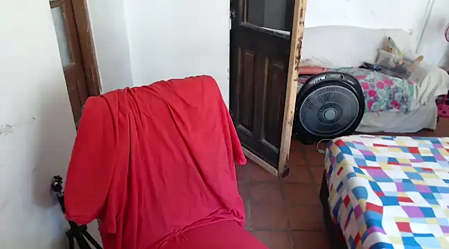 deftoolceles online show from 12.08.24