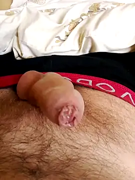 Snapshot of Robertvirt chatting on 11.25.25 Robertvirt online show from 11.25.25