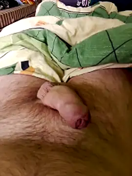 Robertvirt online show from 03.25.26