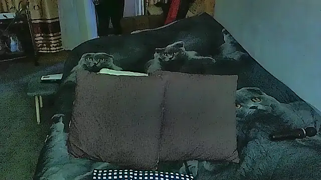 sex2 online show from 09.20.25