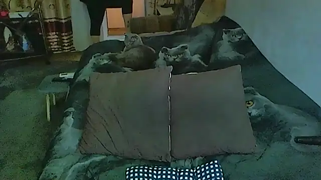 sex2 online show from 12.04.25