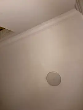 Snapshot of Drkats chatting on 03.18.26 Drkats online show from 03.18.26