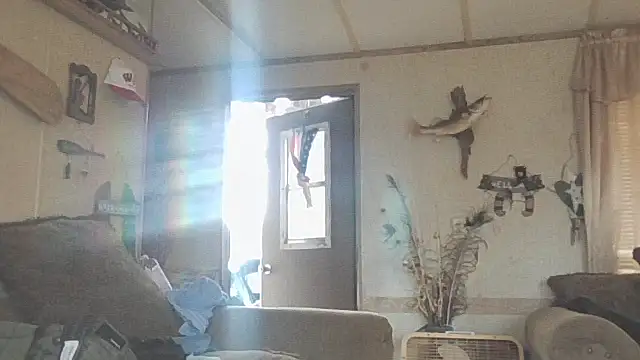 Yankeedave420 online show from 11.19.25