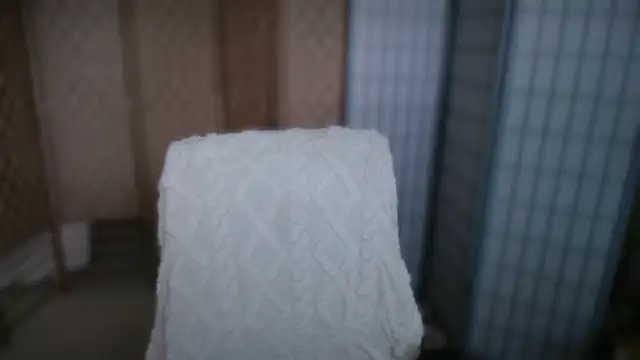 petradaniels online show from 02.13.26