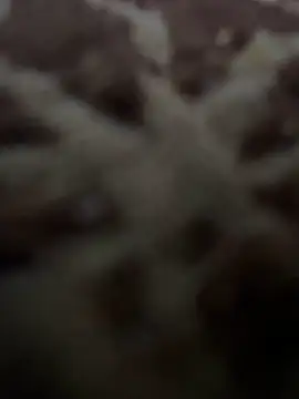 HHHHHxxn online show from 05.01.26