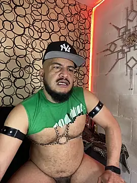 the master foal  online show from 02.27.26