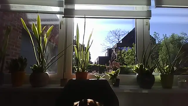 LiquidLeonie online show from 04.30.26